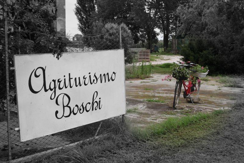 Agriturismo Boschi Reggiolo Eksteriør bilde